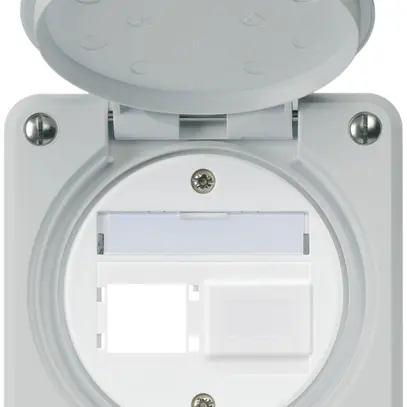 UP-Montageset robusto IP55 Frontauslass für 2×R&M grau 