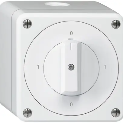 AP-Drehschalter robusto IP55 Schema 0/1P weiss 