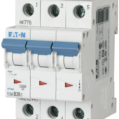 Disgiuntore PLSM-B20 2LN 