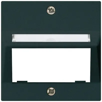 Plaque frontale kallysto pour module multimédia sortie oblique duroplast noir 