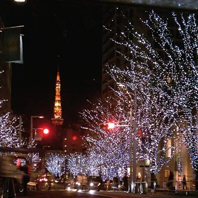 Catena luminosa LED ELBRO 5m 50 LED bianco caldo, cavo nero, IP44 