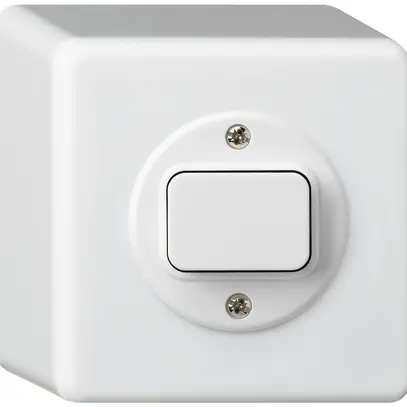 AP-Druckschalter basico 6/1L weiss 