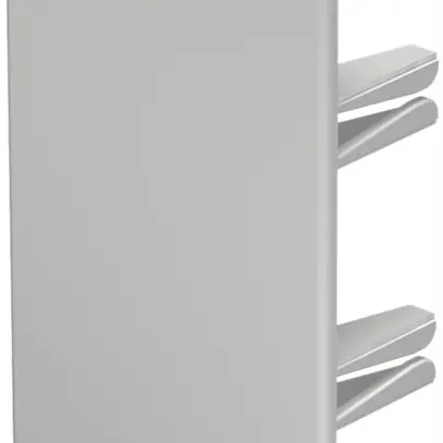 Plaque de fermeture Bettermann pour canal d'installation WDK gris clair 60×110mm 