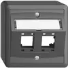 Kit montaggio AP Edue, con cappa di uscita obliqua, per 2×RJ45, grigio scuro 