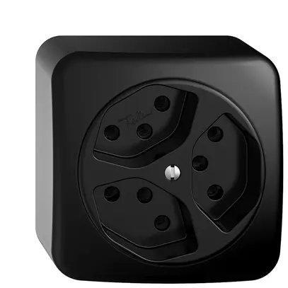 Prise AP STANDARDdue 3×T13 noir 