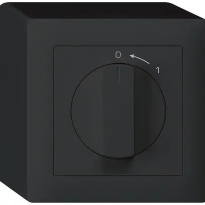 Contatto rotativo AP 0<1/1L nero kallysto con manopola 
