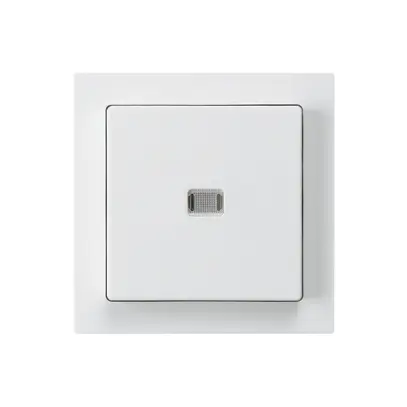 UP-Leuchttaster kallysto ARK 2L weiss 