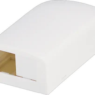 Scatola di raccordo AP Panduit per 2 moduli Mini-Com, bianco 