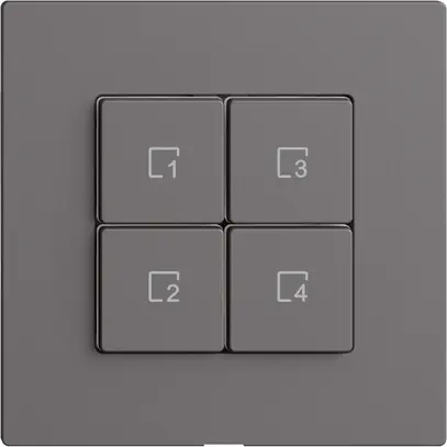Comando per pulsante scena 4 scene/4T Edue Wiser grigio scuro 