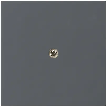 Placca frontale kallysto antracite per 60×60 per elemento di potenza 