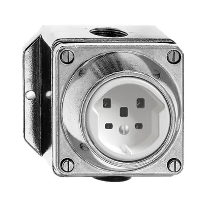 Presa AP umida T25 16A, Al natura con morsetti a vite 