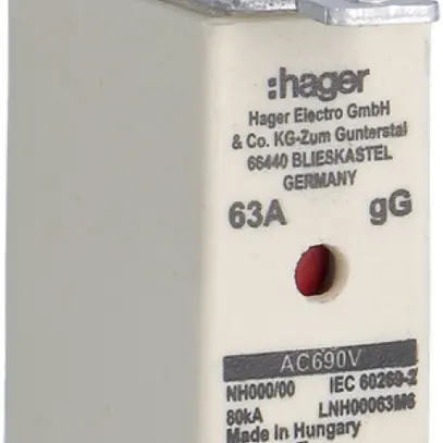 Fusibile HPC Hager DIN000 690VAC 63A gG/gL segnalatore doppio inossidabile 