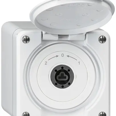 Contact pivotant à clé AP robusto IP55 blanc avec clapet sans cylindre inverseur 