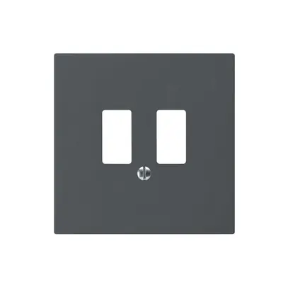 Placca frontale kallysto per presa USB antracite 