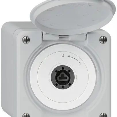 Contatto rotativo chiave AP robusto IP55 grigio con coperchio senza cilindro 1P 