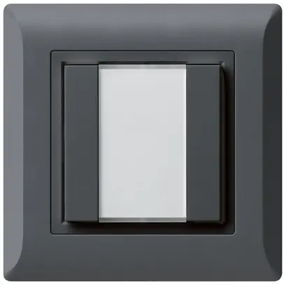 Pulsante universale INC 2×kallysto.line senza LED antracite 