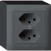 Prise AP kallysto 2×T13 anthracite avec sécurité enfants 