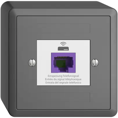 Presa ritorno AP EDIZIOdue 1×RJ45 p.Swisscom VoIP, 8 poli, UTP, grigio scuro 