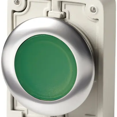 Poussoir lumineux ETN, face plate, à rappel, vert, sans marquage 