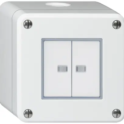 Interrupteur AP robusto IP55 schema 3/contact à poussoir 2×lumineux blanc 