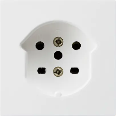 Prise ENC kallysto T15 blanc bornes à vis 