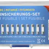 Assortimento di fusibili ritardati MAX HAURI ogni 10 pezzi 0.315…10A 