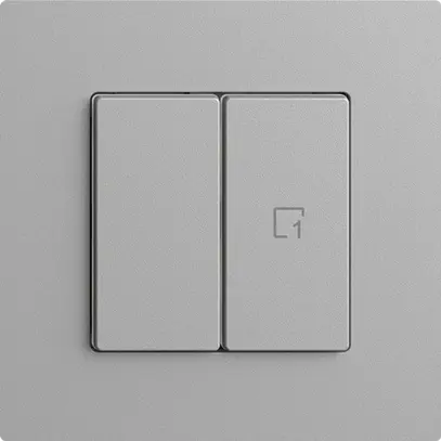 Interrupteur 1K/2T scène WLAN Edue Wiser silver 