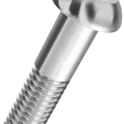 Vite testa bombata SFS Ferronorm con asta M5×25mm ISO7380 100 pezzi 