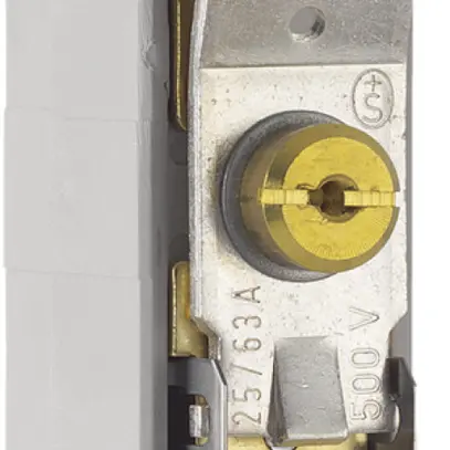 Sezionatore di neutro Weber 63A per TN-C o conduttore N/PEN da avvitare 