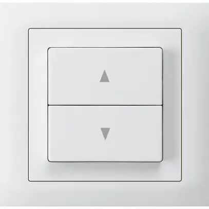 Interruttore per tapparella INS kallysto T scatola INS G3 telaio innesto bianco 