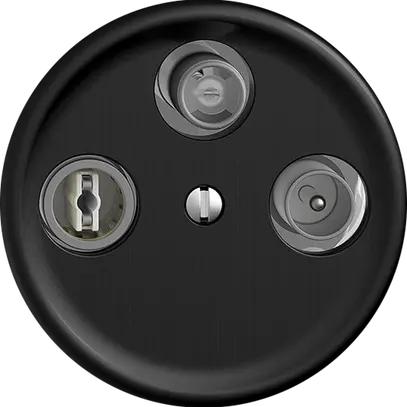 Stichdose SAT/TV DB52 STANDARDdue schwarz, mit IEC/F-Anschluss 