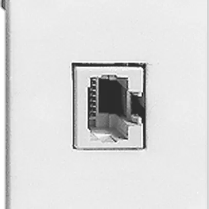 Boîte de raccordement INC FLF 1×RJ45 blanc 