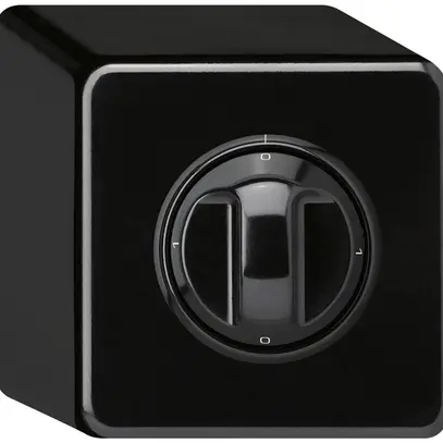 Interruttore rotativo AP basico 1/1L nero con manopola 