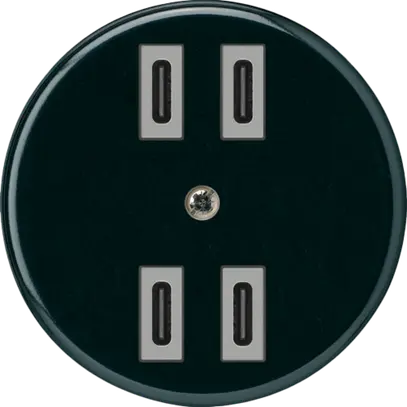 Prise de charge USB Hager basico 2×C-C 2×20W ou 4×10W 5V noir 