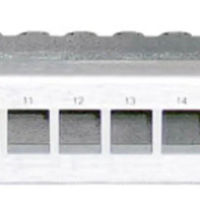 Pannello patch 19" Dätwyler MGK 1UA per 24×GG45, acciaio pregiato 