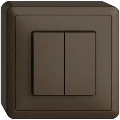 Poussoir AP EDIZIOdue 2×A-R/1P coffee 