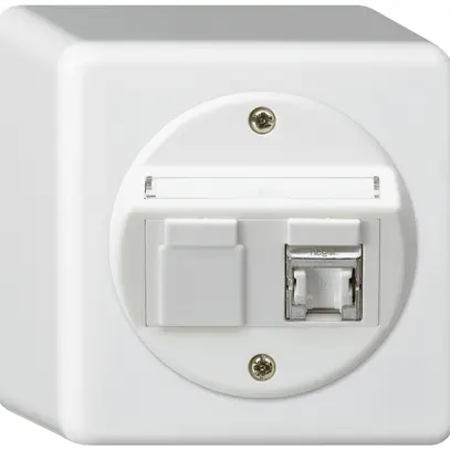 Scatola di raccordo AP basico cat.6 1RJ45/s bianco 