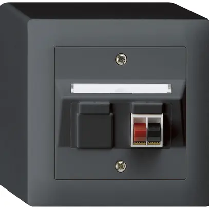 AP-Audiodose kallysto 1×anthrazit Klemmanschluss für 1 LS 