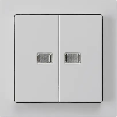 Pulsante luminoso INC kallysto 2×AR/1P con 2 lenti grigio chiaro 