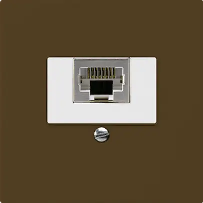 Inserto per presa di raccordo kallysto 1×RJ45s marrone 