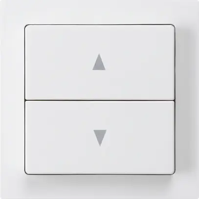 Interruttore per tapparelle kallysto bianco con 2 tasti di comando bianco 