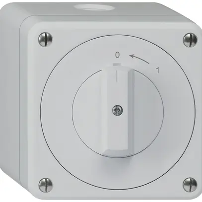 Contatto rotativo AP robusto IP55 grigio 1P 
