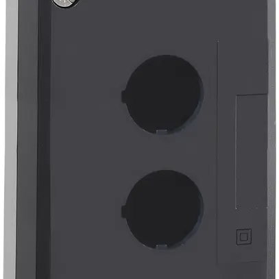 AP-Steuerkasten Schneider Electric 2 Elemente hellgrau 