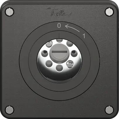 Schwenktaster NEVO, ohne Zylinder, KS, 0 <- 1, schwarz 