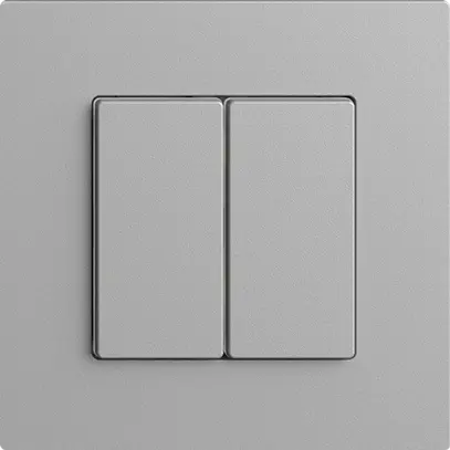 Station secondaire 2K/2T pour interrupteur Edue Wiser silver 