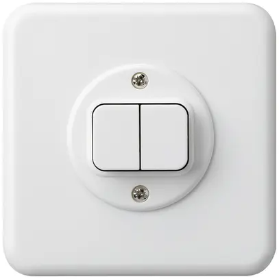 Interruttore INC basico 1/1L bianco 