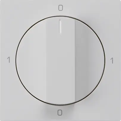 Intérieur pour interrupteur rotatif kallysto 0/1L gris clair avec manette 