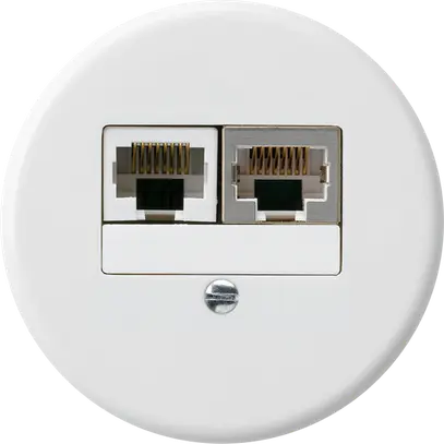 Insert pour boîte ENC basico 2×RJ45s+u séparé blanc 
