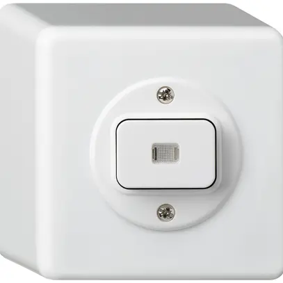 Interruttore AP basico luminoso 6/1L bianco 
