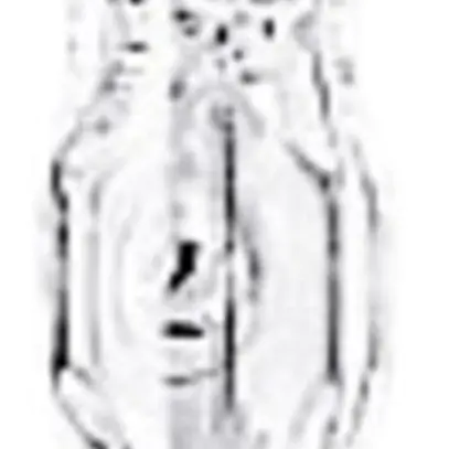 Lampe halogène pour projecteur R7s 230V 120W clair 